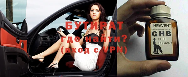дживик Ельня