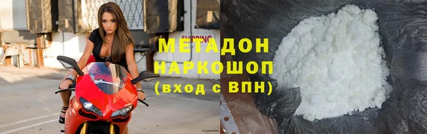 дживик Ельня