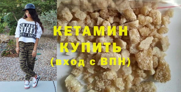 дживик Ельня