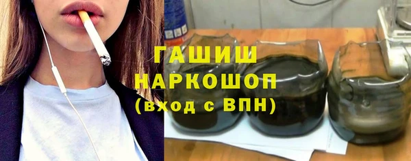 дживик Ельня