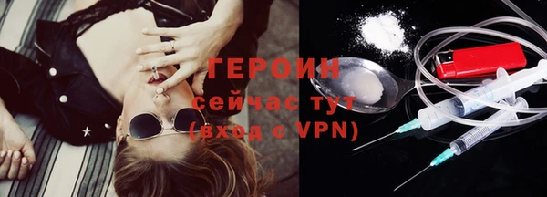 дживик Ельня