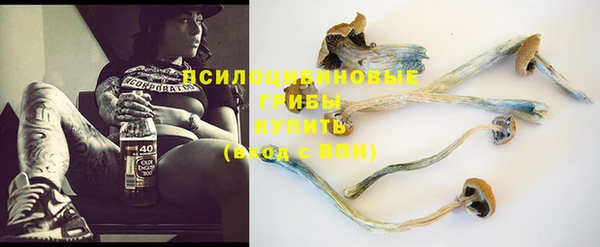 дживик Ельня