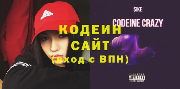 дживик Ельня