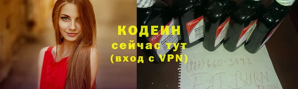 дживик Ельня