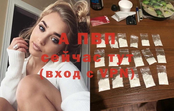дживик Ельня