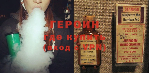 дживик Ельня