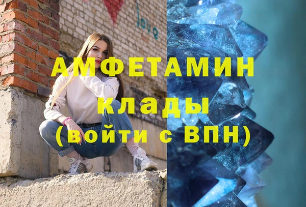 дживик Ельня