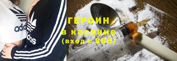 дживик Ельня