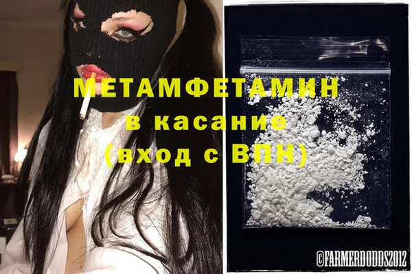 дживик Ельня