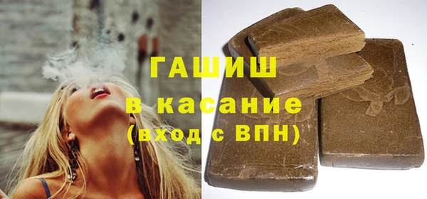 дживик Ельня