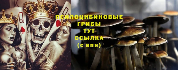 дживик Ельня