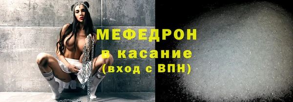 дживик Ельня