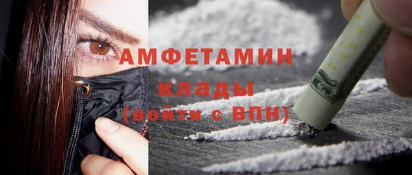 дживик Ельня